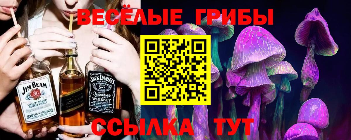 Галлюциногенные грибы GOLDEN TEACHER  Вход с VPN  Кисловодск 
