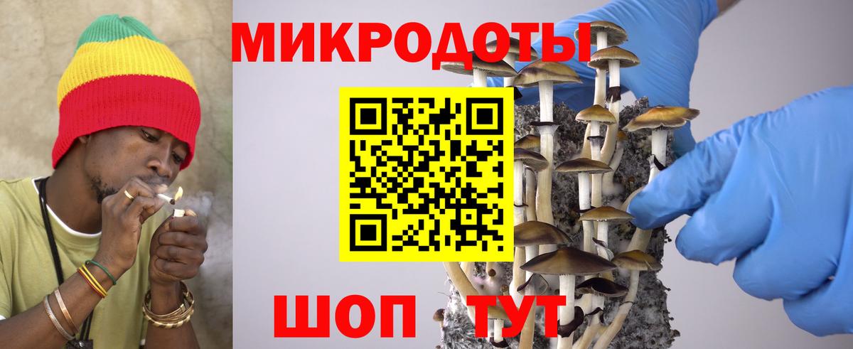 Псилоцибиновые грибы GOLDEN TEACHER Кисловодск